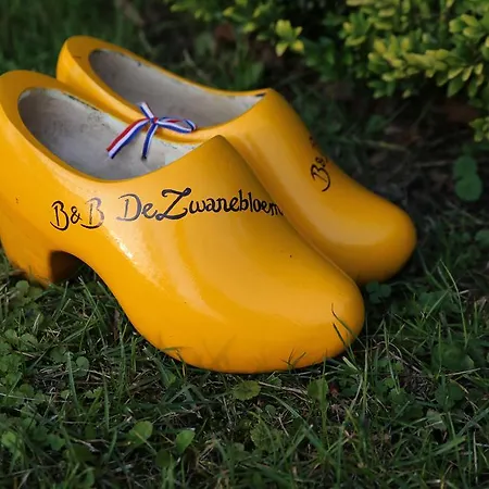 De Zwanebloem Couette-café 3*