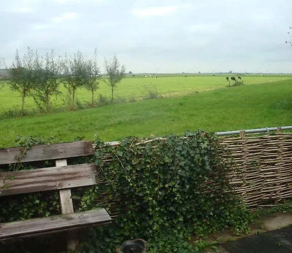 De Zwanebloem Elburg