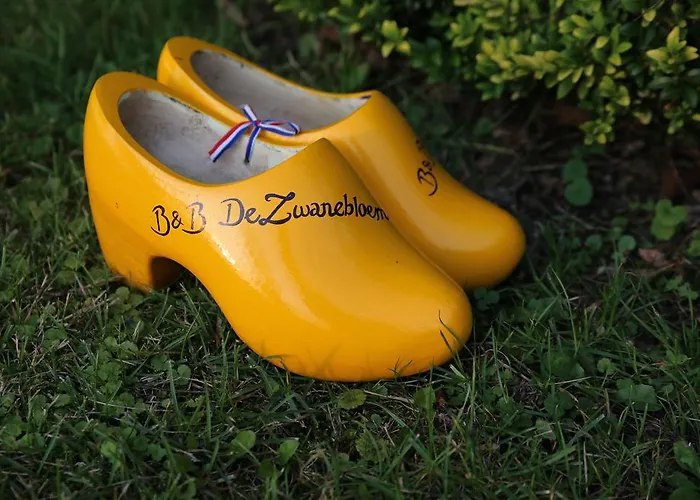 De Zwanebloem Bed & Breakfast 3*