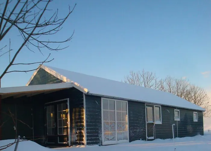 De Zwanebloem 3* Элбюрг