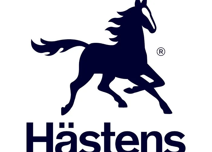 Bed and breakfast De Zwanebloem