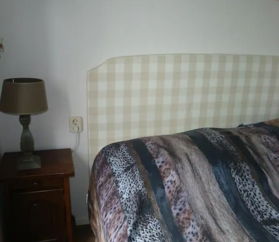 Bed and breakfast De Zwanebloem